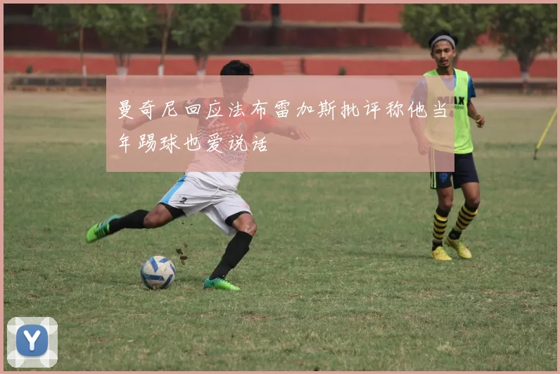 曼奇尼回应法布雷加斯批评称他当年踢球也爱说话