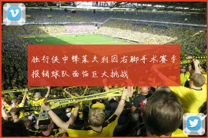 独行侠中锋莱夫利因右脚手术赛季报销球队面临巨大挑战