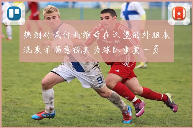 热刺对武什科维奇在汉堡的外租表现表示满意视其为球队重要一员
