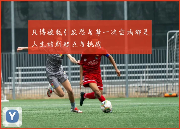 凡博被裁引发思考每一次尝试都是人生的新起点与挑战